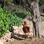 Bed and breakfast La Dimora Del Pensatore - Country Escape Noto 4*