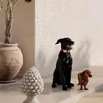 Bed and breakfast La Dimora Del Pensatore - Country Escape Noto 4*