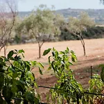 Bed and breakfast La Dimora Del Pensatore - Country Escape Noto